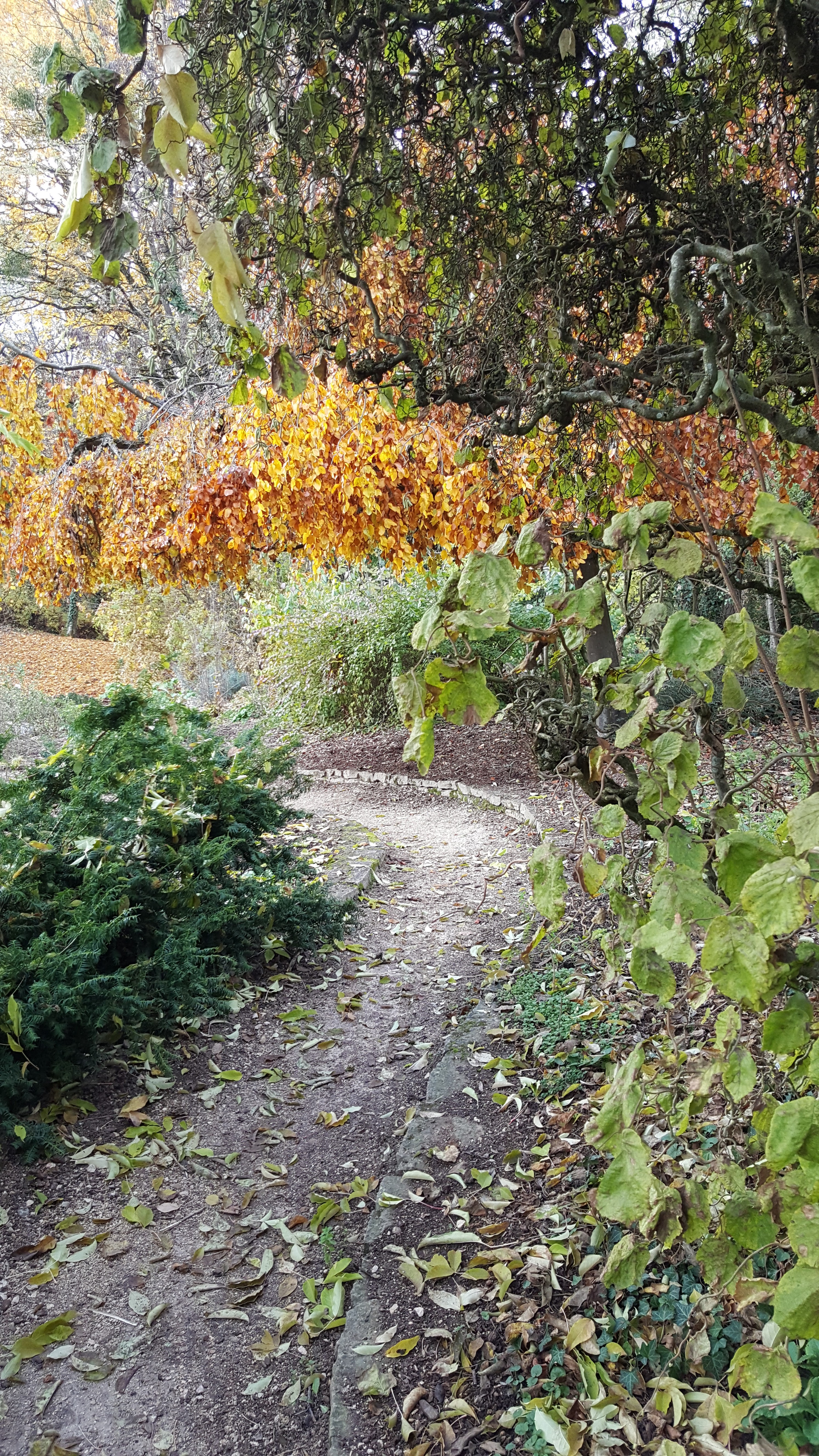 Photo n° 2 de l'avis de Béa.f fait le 26/11/2019 à 15:33