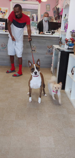 Pet Groomer «Furry Tails Pet Grooming», reviews and photos, 865 Cypress Pkwy, Poinciana, FL 34759, USA