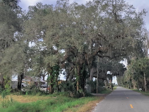 Nature Preserve «Black Hammock Wilderness Area», reviews and photos, 3276 Howard Ave, Oviedo, FL 32765, USA