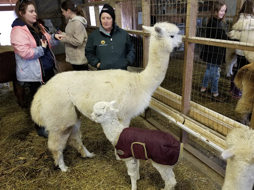 Farm «Painted Sky Alpaca Farm & Fiber Mill», reviews and photos, 95 Knight House Ln, Earleville, MD 21919, USA