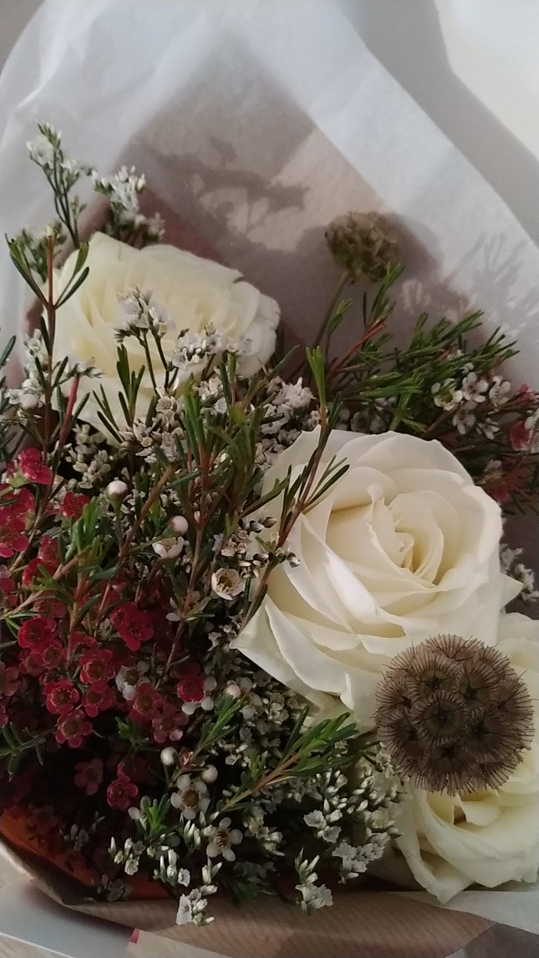 Photo n° 1 de l'avis de Lou.e fait le 02/11/2019 à 11:33