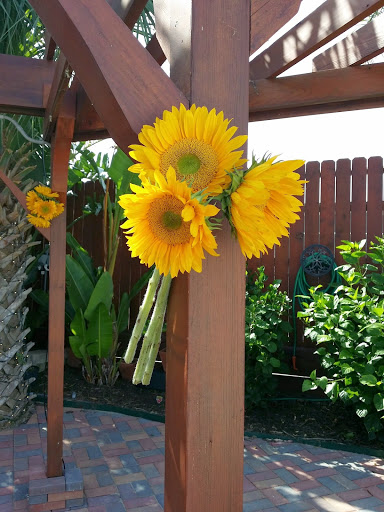 Event Venue «Galveston Island Palms Outdoor Events & Parties», reviews and photos, 5802 Ave S, Galveston, TX 77551, USA