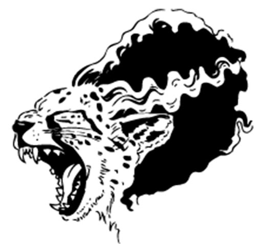 Tattoo Shop «Electric Cheetah», reviews and photos, 57 E Elizabeth Ave, Bethlehem, PA 18018, USA