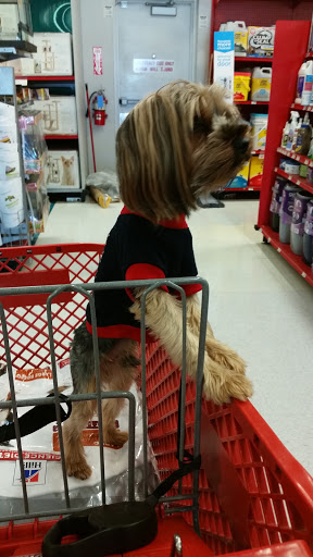 Pet Supply Store «Petco Animal Supplies», reviews and photos, 8909 Branch Ave d, Clinton, MD 20735, USA