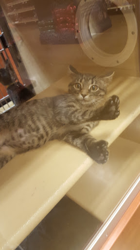 Pet Supply Store «PetSmart», reviews and photos, 5241 Monroe St, Toledo, OH 43623, USA