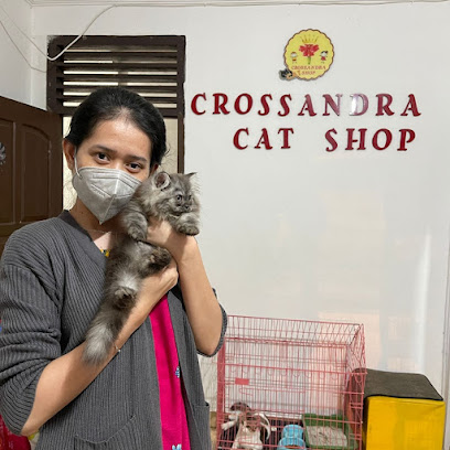 CROSSANDRA CAT SHOP