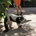 Photo n° 10 de l'avis de Léa. fait le 24/08/2022 à 15:27 pour Zoo de La Flèche à La Flèche