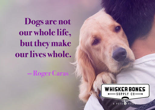 Pet Store «Whisker Bones Supply Co.», reviews and photos, 138 N Main St, Edwardsville, IL 62025, USA