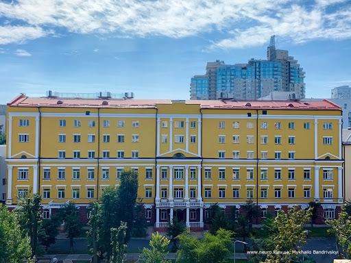 Romodanov Neurosurgery Institute