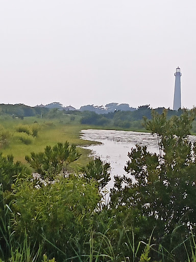 State Park «Cape May Point State Park», reviews and photos, Light House Ave, Cape May Point, NJ 08212, USA