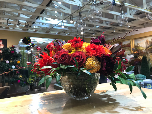 Plant Nursery «Potomac Petals and Plants», reviews and photos, 9545 River Rd, Rockville, MD 20854, USA