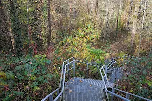 Glenbrook Ravine Park image