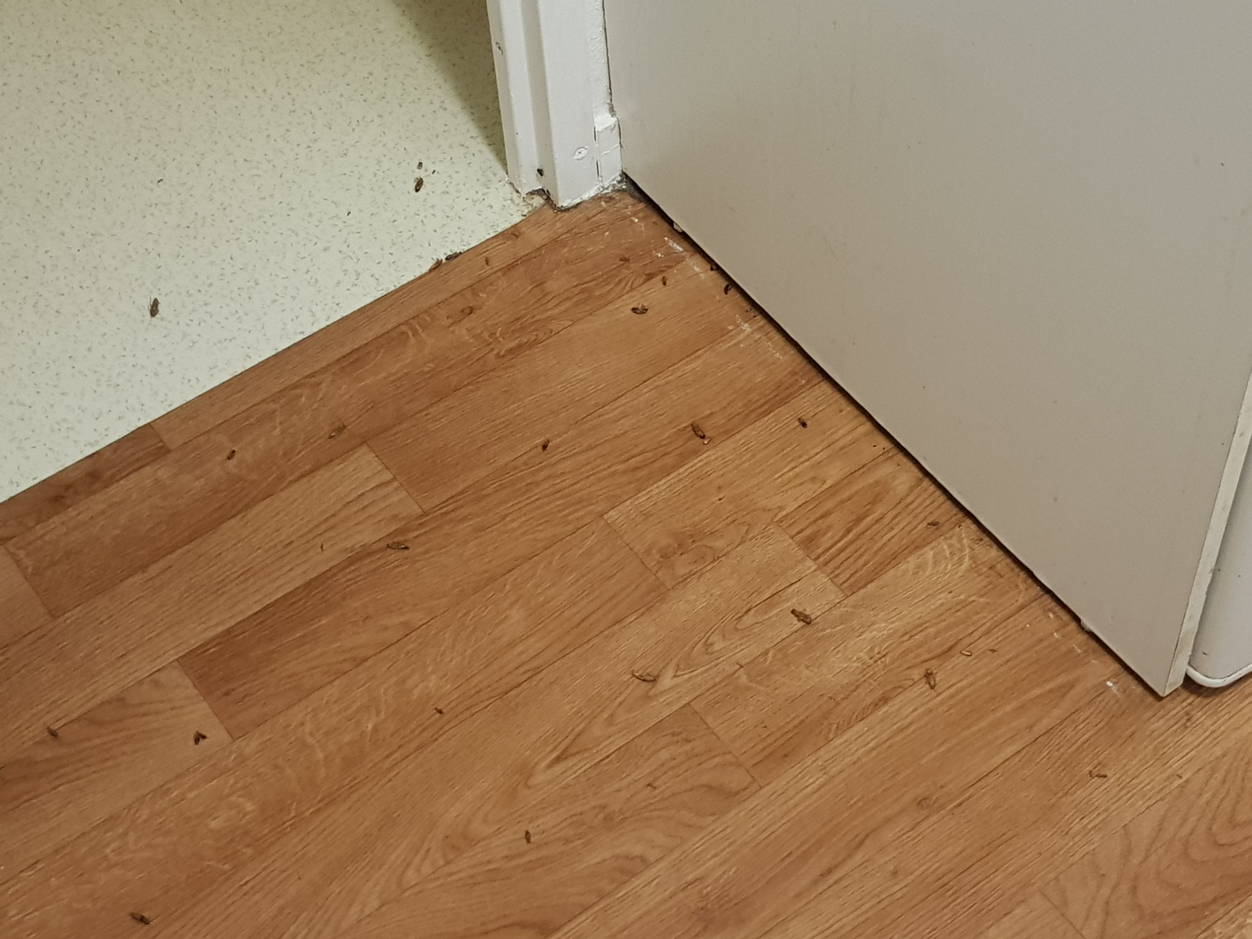 Photo n° 3 de l'avis de Fella.i fait le 12/02/2024 à 18:47