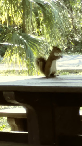 Recreation Center «Forbes Recreation Center», reviews and photos, 6401 94th Ave, Pinellas Park, FL 33782, USA