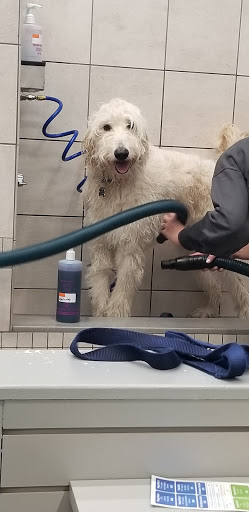 Pet Supply Store «Pet Supplies Plus», reviews and photos, 13360 W 87th St Pkwy, Lenexa, KS 66215, USA