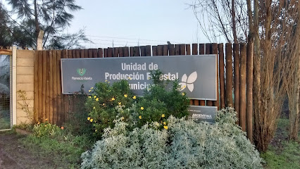 Unidad de Producción Forestal Municipal