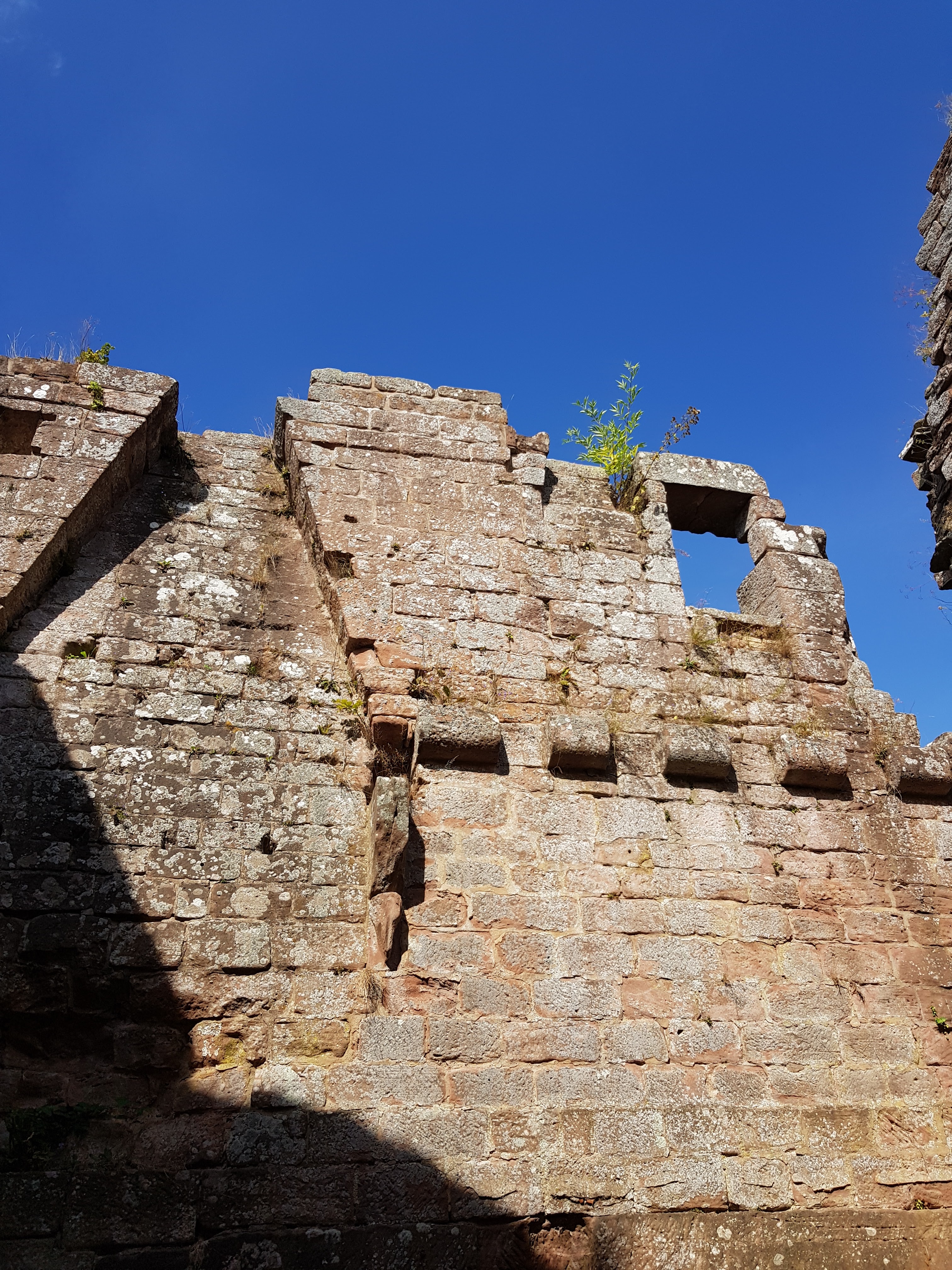 Photo n° 3 de l'avis de Achim.o fait le 12/09/2018 à 11:43