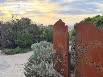 Tennyson Beach