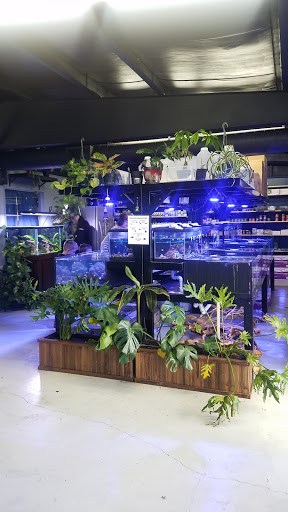Tropical Fish Store «The Premium Aquarium», reviews and photos, 1875 25th St SE, Salem, OR 97302, USA
