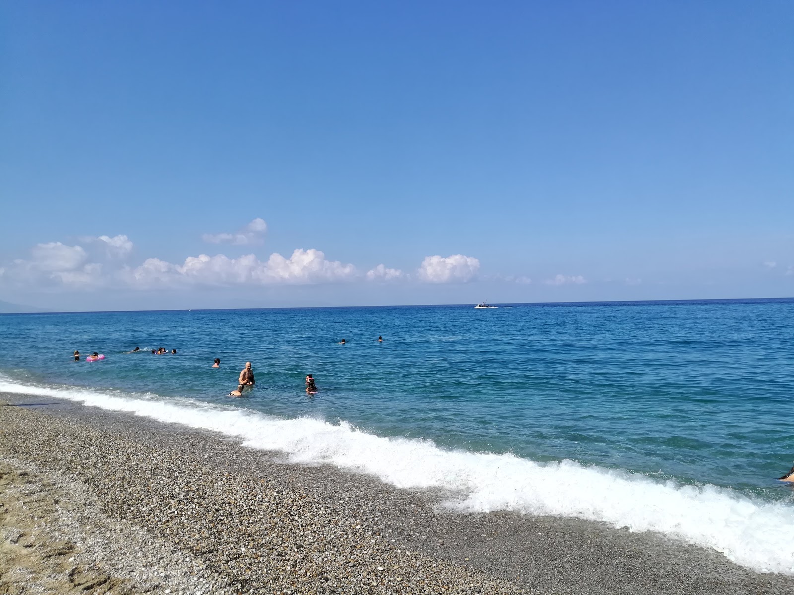 Foto di Due Pini con una superficie del acqua blu