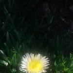 Photo n°10 de l'avis de Ivana.e fait le 29/06/2018 à 15:22 sur le  SPORTING HOTEL TANCA MANNA multiproprietari à Tanca Manna