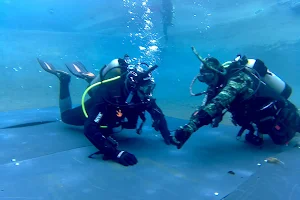 Diving Therapy image