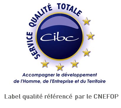 Centre de formation continue CIBC Ain Haute-Savoie - Bilan de compétences - Trévoux Reyrieux