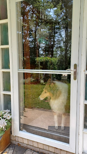 Home Improvement Store «The Home Depot», reviews and photos, 600 Terry Rich Blvd, St Clair, PA 17970, USA