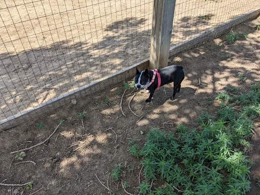 Dog Park «Grandview Dog Park», reviews and photos, 17500 E Quincy Ave, Aurora, CO 80015, USA