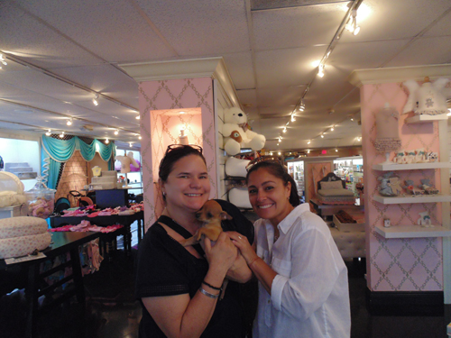 Pet Store «Puppy Boutique Store», reviews and photos, 4001 N Federal Hwy, Fort Lauderdale, FL 33308, USA