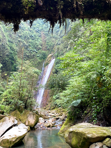 Waterfall Hidden Treasure