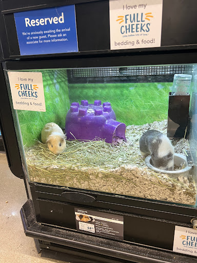 Pet Supply Store «PetSmart», reviews and photos, 1410 NE 23rd St, Pompano Beach, FL 33062, USA