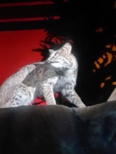 History Museum «The Frazier History Museum», reviews and photos, 829 W Main St, Louisville, KY 40202, USA