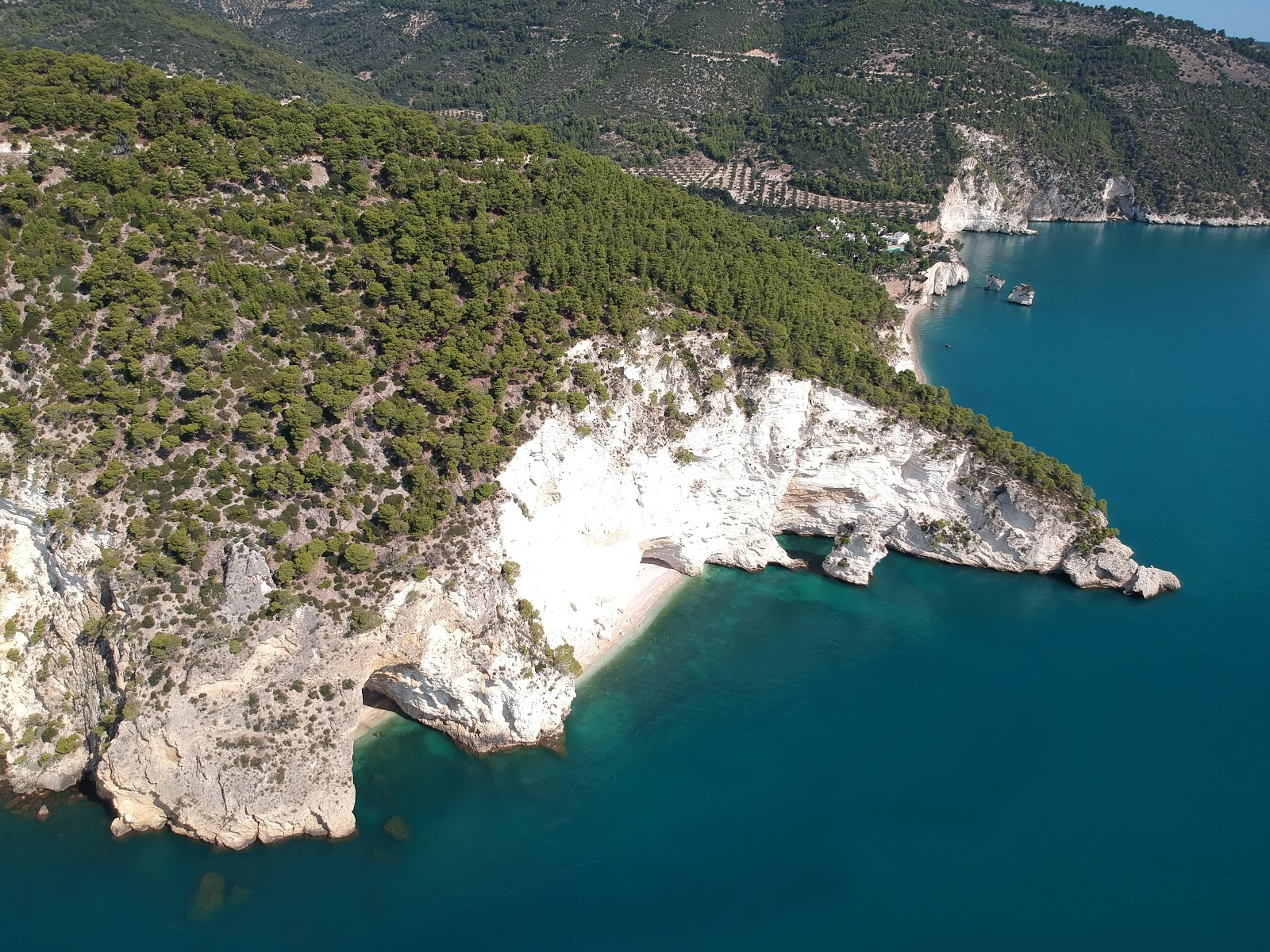 Fotografie cu Cala della Pipa cu o suprafață de apa pură turcoaz