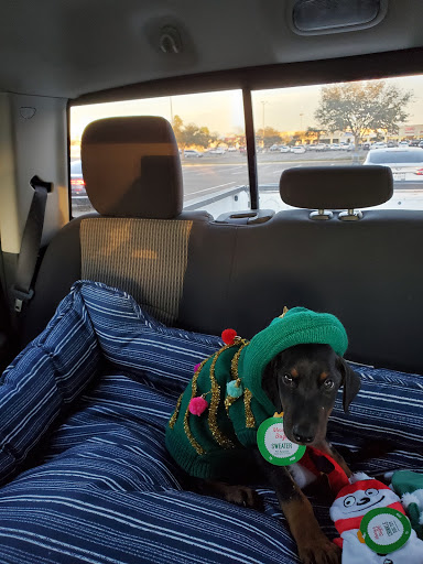 Pet Supply Store «PetSmart», reviews and photos, 2317 W Lincoln St, Harlingen, TX 78552, USA