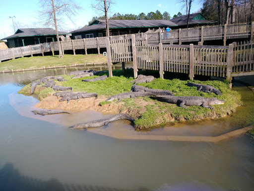Zoo «Gators and Friends», reviews and photos, 11441 US-80, Greenwood, LA 71033, USA