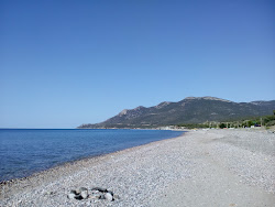 Photo de Paralia Petroton avec rivage droit, long