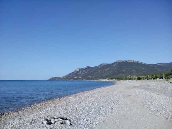 Paralia Petroton