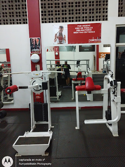 Palestra Gym - C. José María Morelos y Pavón 256 A, San Antonio, Cd Guzmán Centro, 49000 Cd Guzman, Jal., Mexico