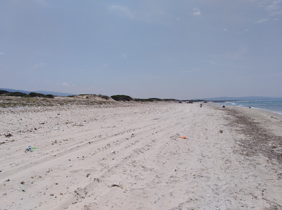 Monotonous Beach