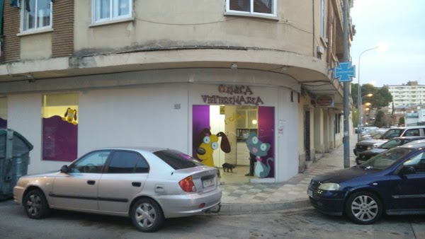 Clinica Veterinaria Colón