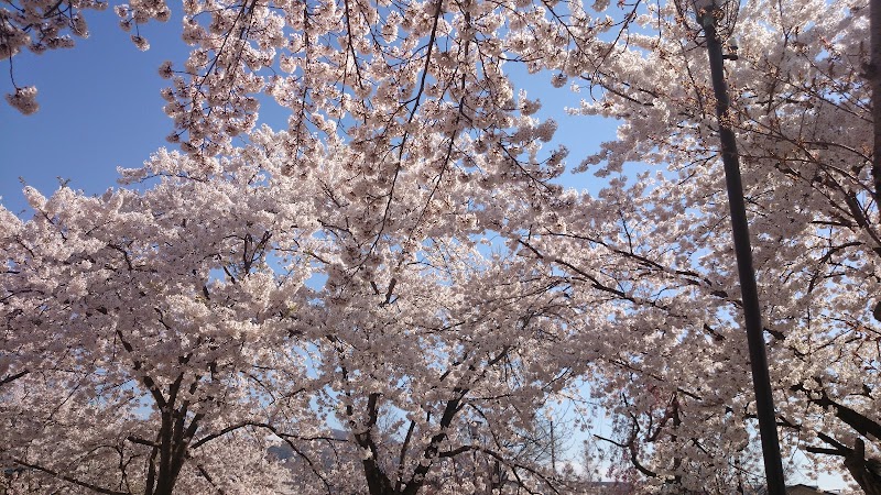 東部公園