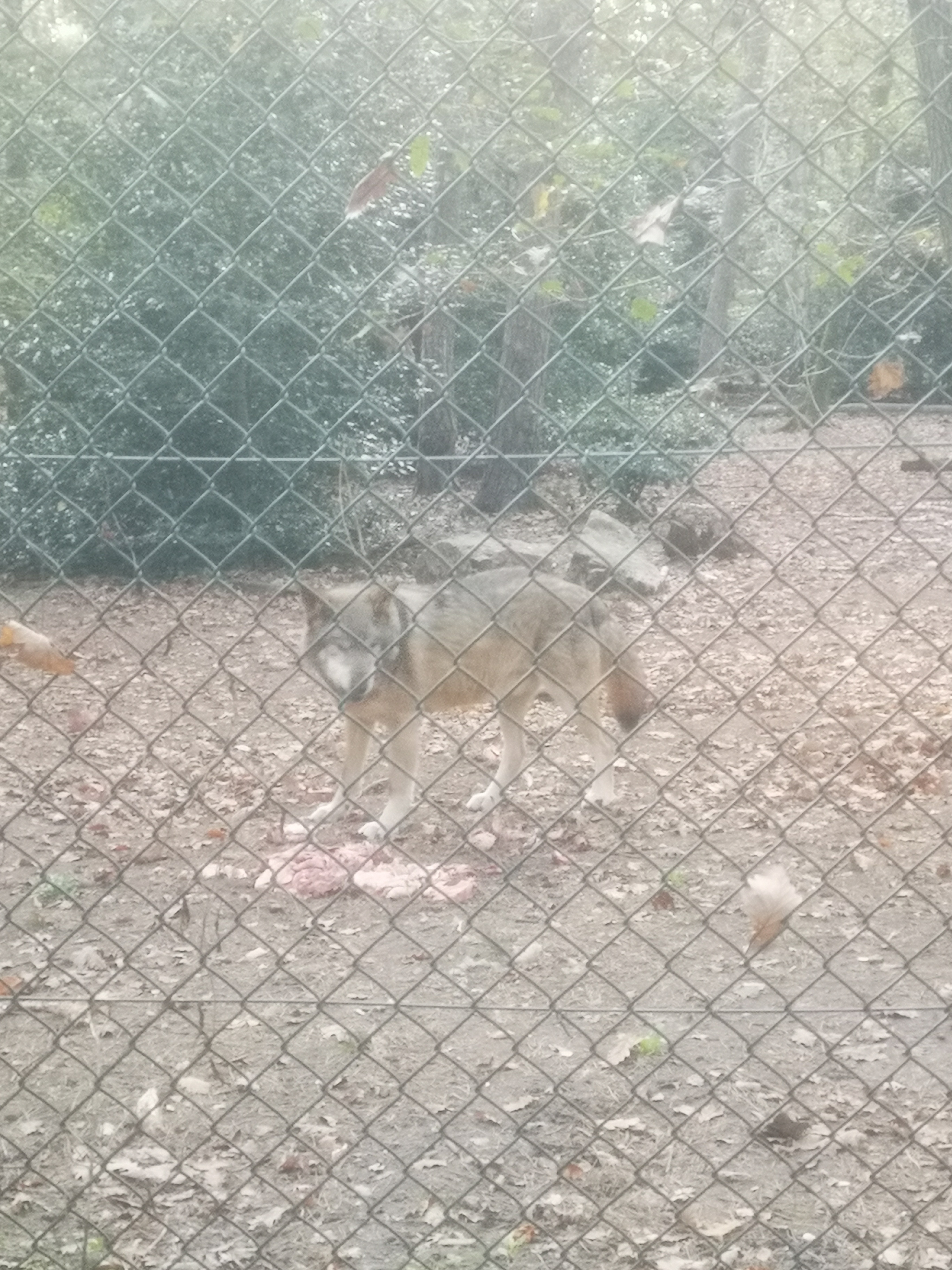 Photo n° 1 de l'avis de Marie.e fait le 29/10/2022 à 15:36