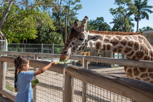 Zoo «Naples Zoo at Caribbean Gardens», reviews and photos, 1590 Goodlette-Frank Rd, Naples, FL 34102, USA