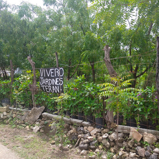 Vivero de plantas Tuxtla Gutiérrez