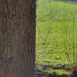 Photo n°27 de l'avis de Jonas.� fait le 02/04/2021 à 10:41 sur le  Partyservice Braselmann / Jausenstation Klütinger Alm à Breckerfeld