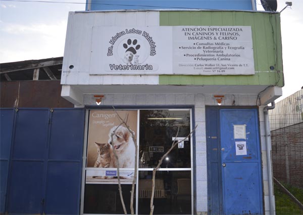 Opiniones de Veterinaria monica lobos en San Vicente - Médico