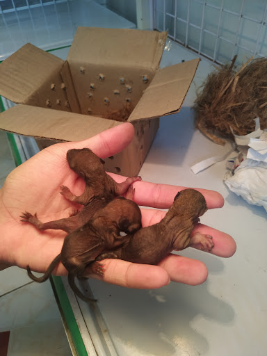 Top 20 cửa hàng soc&brother Thị xã Sông Công Thái Nguyên 2022