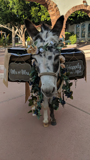 Wedding Venue «Bella Rose Estate», reviews and photos, 1380 S Price Rd, Chandler, AZ 85286, USA