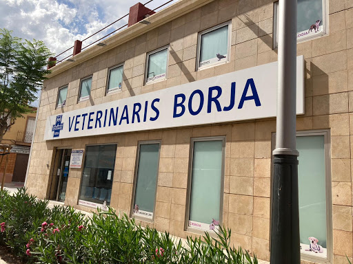 Veterinaris Borja (Urgencias 24H 617324983)